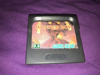 Sega gamegear Wonderboy game